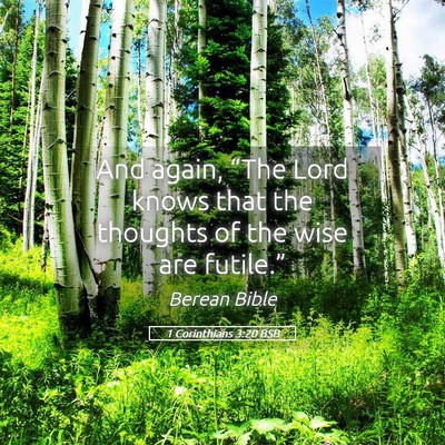 Picture 05 - 1 Corinthians 3:20 BSB - And again, “The Lord knows that the thoughts of - Bible Verse Picture