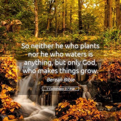 Picture 05 - 1 Corinthians 3:7 BSB - So neither he who plants nor he who waters is - Bible Verse Picture