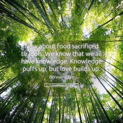 Picture 05 - 1 Corinthians 8:1 BSB - Now about food sacrificed to idols: We know that - Bible Verse Picture
