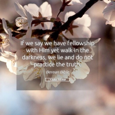 Picture 05 - 1 John 1:6 BSB - If we say we have fellowship with Him yet walk in - Bible Verse Picture