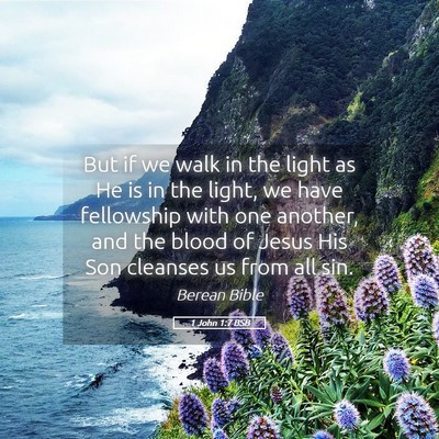 Picture 05 - 1 John 1:7 BSB - But if we walk in the light as He is in the - Bible Verse Picture