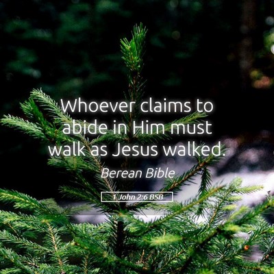 Picture 05 - 1 John 2:6 BSB - Whoever claims to abide in Him must walk as Jesus - Bible Verse Picture