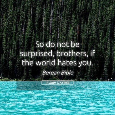 Picture 05 - 1 John 3:13 BSB - So do not be surprised, brothers, if the world - Bible Verse Picture