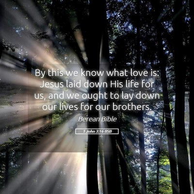 Picture 05 - 1 John 3:16 BSB - By this we know what love is: Jesus laid down His - Bible Verse Picture