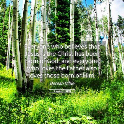 Picture 05 - 1 John 5:1 BSB - Everyone who believes that Jesus is the Christ - Bible Verse Picture