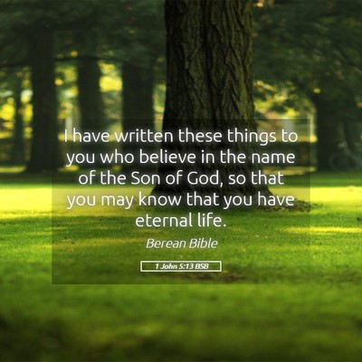 Picture 05 - 1 John 5:13 BSB - I have written these things to you who believe in - Bible Verse Picture