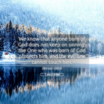 Picture 05 - 1 John 5:18 BSB - We know that anyone born of God does not keep on - Bible Verse Picture