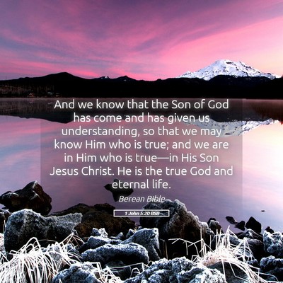 Picture 05 - 1 John 5:20 BSB - And we know that the Son of God has come and has - Bible Verse Picture