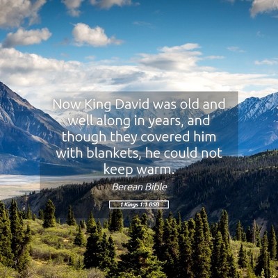 Picture 05 - 1 Kings 1:1 BSB - Now King David was old and well along in years, - Bible Verse Picture
