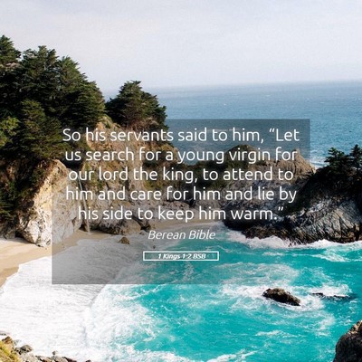 Picture 05 - 1 Kings 1:2 BSB - So his servants said to him, “Let us search for - Bible Verse Picture
