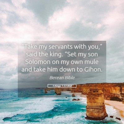 Picture 05 - 1 Kings 1:33 BSB - “Take my servants with you,” said the king. - Bible Verse Picture