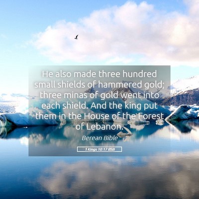 Picture 05 - 1 Kings 10:17 BSB - He also made three hundred small shields of - Bible Verse Picture