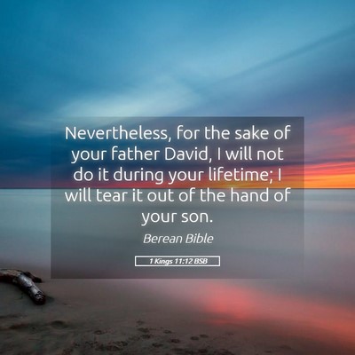 Picture 05 - 1 Kings 11:12 BSB - Nevertheless, for the sake of your father David, - Bible Verse Picture