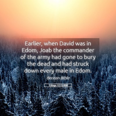 Picture 05 - 1 Kings 11:15 BSB - Earlier, when David was in Edom, Joab the - Bible Verse Picture