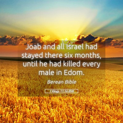 Picture 05 - 1 Kings 11:16 BSB - Joab and all Israel had stayed there six months, - Bible Verse Picture
