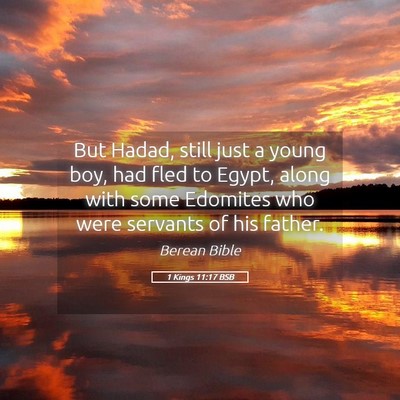 Picture 05 - 1 Kings 11:17 BSB - But Hadad, still just a young boy, had fled to - Bible Verse Picture