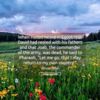 Picture 05 - 1 Kings 11:21 BSB - When Hadad heard in Egypt that David had rested - Bible Verse Picture