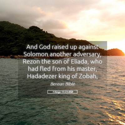 Picture 05 - 1 Kings 11:23 BSB - And God raised up against Solomon another - Bible Verse Picture
