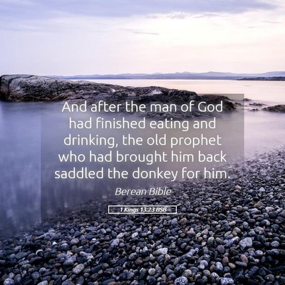 Picture 05 - 1 Kings 13:23 BSB - And after the man of God had finished eating and - Bible Verse Picture