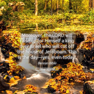 Picture 05 - 1 Kings 14:14 BSB - Moreover, the LORD will raise up for Himself a - Bible Verse Picture