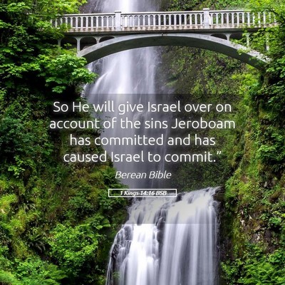 Picture 05 - 1 Kings 14:16 BSB - So He will give Israel over on account of the - Bible Verse Picture