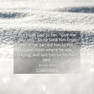 Picture 05 - 1 Kings 17:19 BSB - But Elijah said to her, “Give me your son.” - Bible Verse Picture