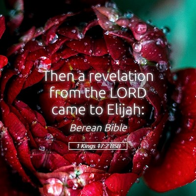 Picture 05 - 1 Kings 17:2 BSB - Then a revelation from the LORD came to - Bible Verse Picture
