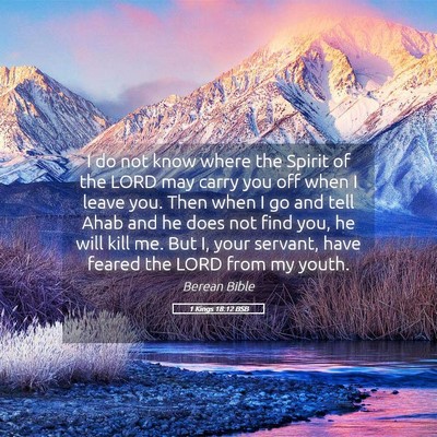 Picture 05 - 1 Kings 18:12 BSB - I do not know where the Spirit of the LORD may - Bible Verse Picture