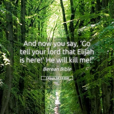 Picture 05 - 1 Kings 18:14 BSB - And now you say, ‘Go tell your lord that Elijah - Bible Verse Picture