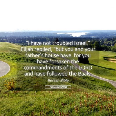 Picture 05 - 1 Kings 18:18 BSB - “I have not troubled Israel,” Elijah replied, - Bible Verse Picture