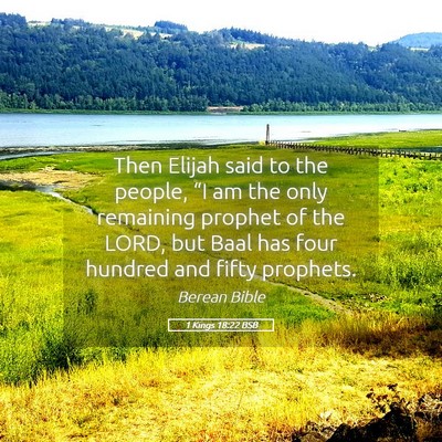 Picture 05 - 1 Kings 18:22 BSB - Then Elijah said to the people, “I am the only - Bible Verse Picture