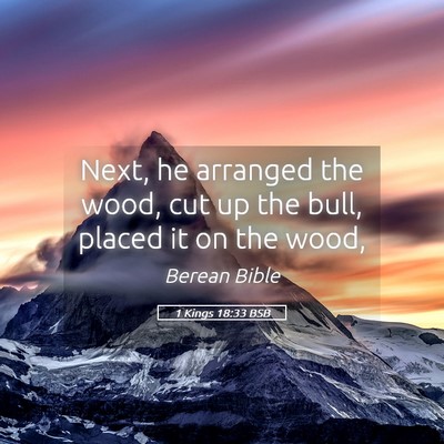 Picture 05 - 1 Kings 18:33 BSB - Next, he arranged the wood, cut up the bull, - Bible Verse Picture