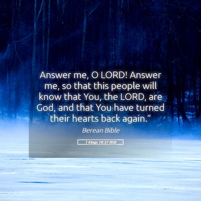 Picture 05 - 1 Kings 18:37 BSB - Answer me, O LORD! Answer me, so that this people - Bible Verse Picture