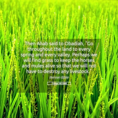 Picture 05 - 1 Kings 18:5 BSB - Then Ahab said to Obadiah, “Go throughout the - Bible Verse Picture