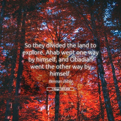 Picture 05 - 1 Kings 18:6 BSB - So they divided the land to explore. Ahab went - Bible Verse Picture