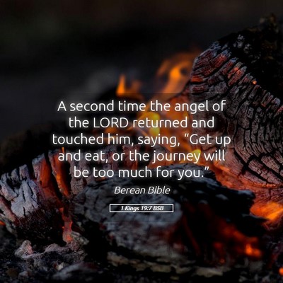Picture 05 - 1 Kings 19:7 BSB - A second time the angel of the LORD returned and - Bible Verse Picture