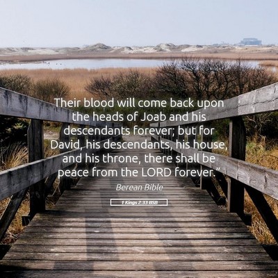 Picture 05 - 1 Kings 2:33 BSB - Their blood will come back upon the heads of Joab - Bible Verse Picture
