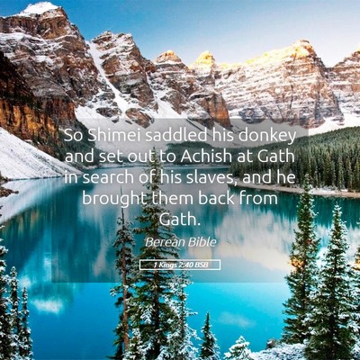 Picture 05 - 1 Kings 2:40 BSB - So Shimei saddled his donkey and set out to - Bible Verse Picture