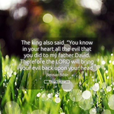 Picture 05 - 1 Kings 2:44 BSB - The king also said, “You know in your heart all - Bible Verse Picture