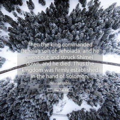 Picture 05 - 1 Kings 2:46 BSB - Then the king commanded Benaiah son of Jehoiada, - Bible Verse Picture