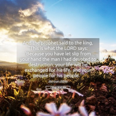 Picture 05 - 1 Kings 20:42 BSB - And the prophet said to the king, “This is what - Bible Verse Picture