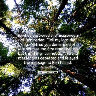 Picture 05 - 1 Kings 20:9 BSB - So Ahab answered the messengers of Ben-hadad, - Bible Verse Picture
