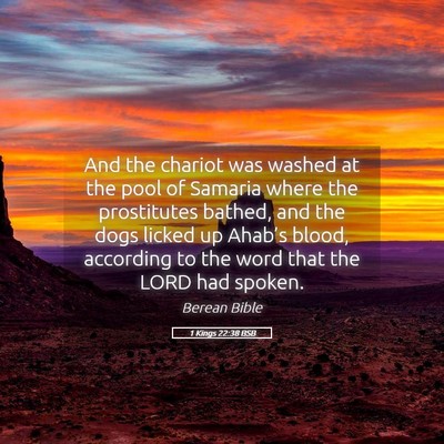 Picture 05 - 1 Kings 22:38 BSB - And the chariot was washed at the pool of Samaria - Bible Verse Picture