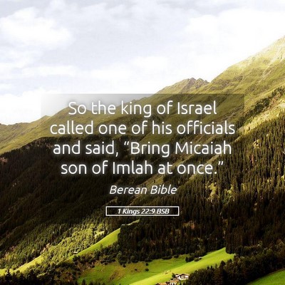 Picture 05 - 1 Kings 22:9 BSB - So the king of Israel called one of his officials - Bible Verse Picture