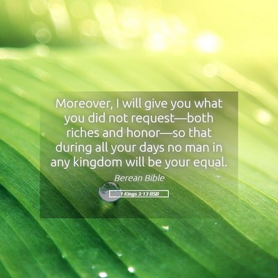 Picture 05 - 1 Kings 3:13 BSB - Moreover, I will give you what you did not - Bible Verse Picture