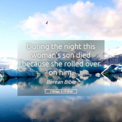 Picture 05 - 1 Kings 3:19 BSB - During the night this woman’s son died because - Bible Verse Picture