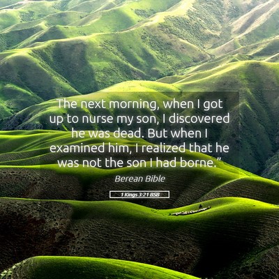 Picture 05 - 1 Kings 3:21 BSB - The next morning, when I got up to nurse my son, - Bible Verse Picture