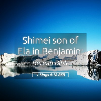 Picture 05 - 1 Kings 4:18 BSB - Shimei son of Ela in - Bible Verse Picture