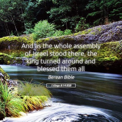 Picture 05 - 1 Kings 8:14 BSB - And as the whole assembly of Israel stood there, - Bible Verse Picture