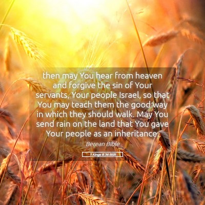 Picture 05 - 1 Kings 8:36 BSB - then may You hear from heaven and forgive the sin - Bible Verse Picture